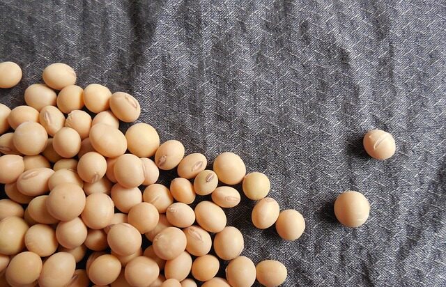 setsubun mamemaki kimiko